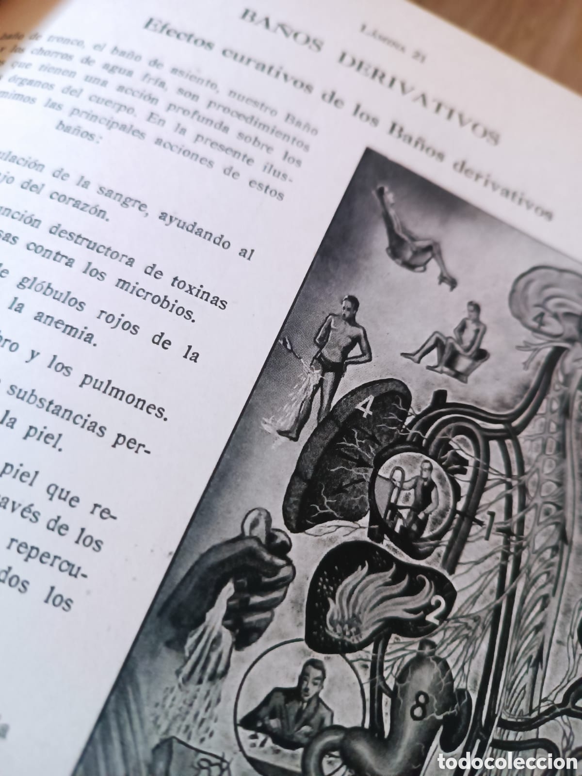 Libros de segunda mano: Moderna Medicina Natural, Dr Vander - Foto 6