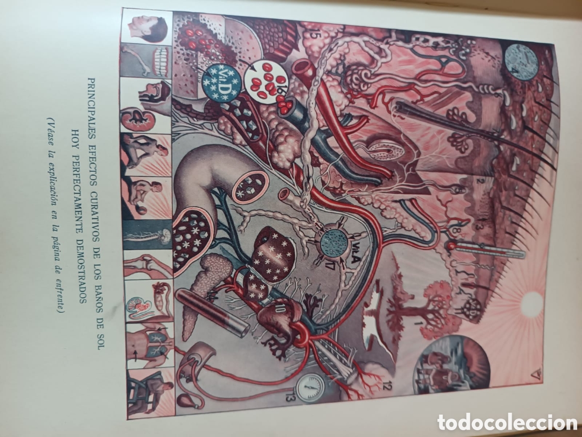 Libros de segunda mano: Moderna Medicina Natural, Dr Vander - Foto 7