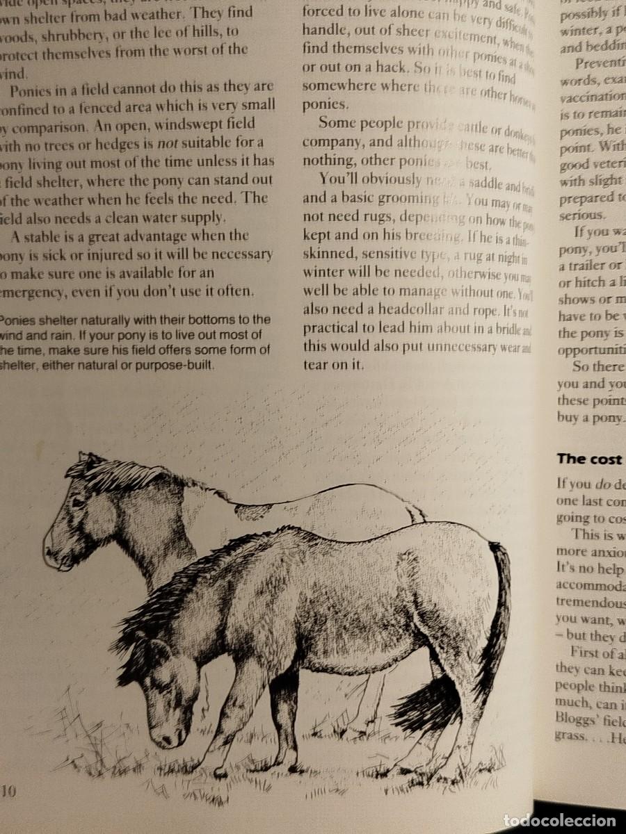 Libros de segunda mano: 1992. Ponywise. Susan McBane. - Foto 5