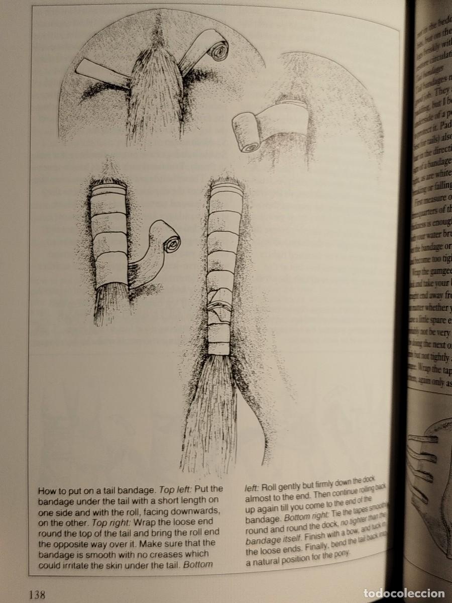 Libros de segunda mano: 1992. Ponywise. Susan McBane. - Foto 11