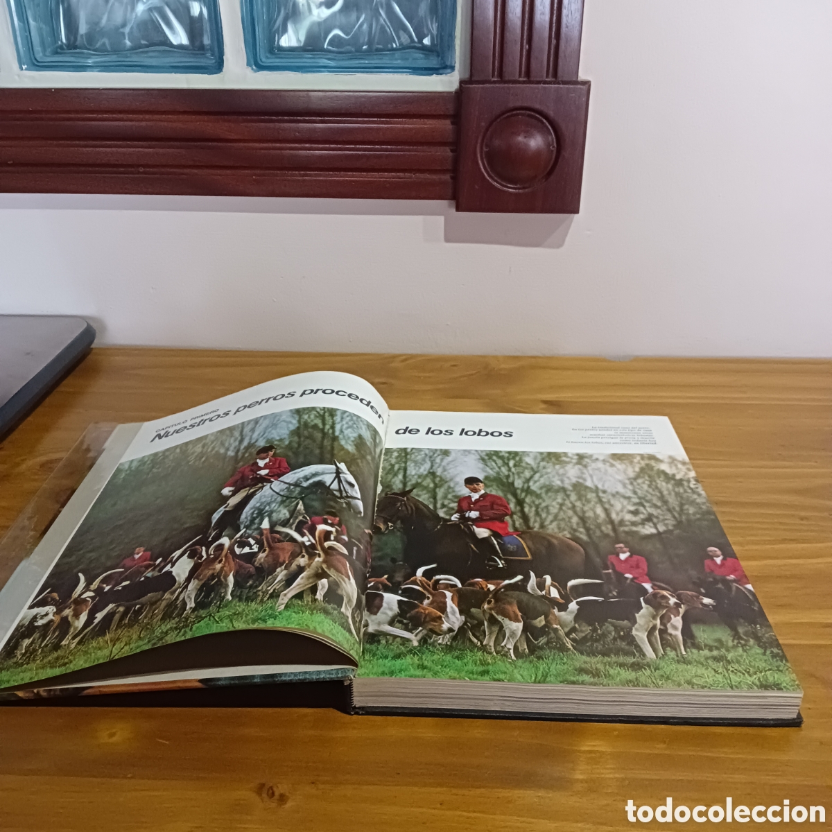 Libros de segunda mano: Etolog&iacute;a. C&iacute;rculo de lectores - Foto 2
