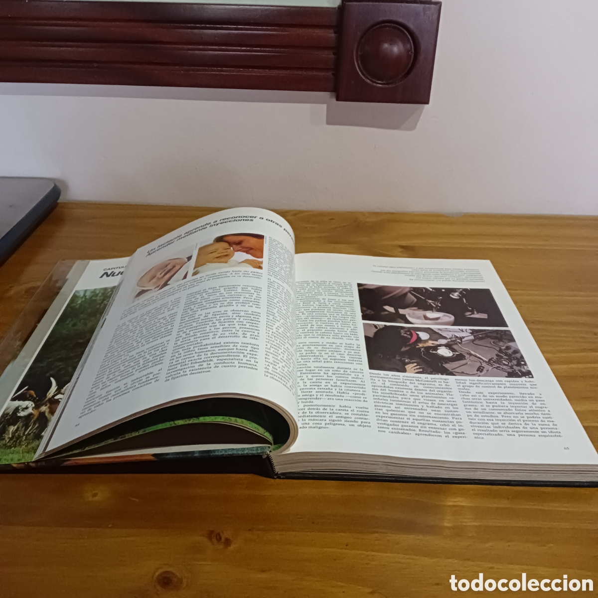 Libros de segunda mano: Etolog&iacute;a. C&iacute;rculo de lectores - Foto 3
