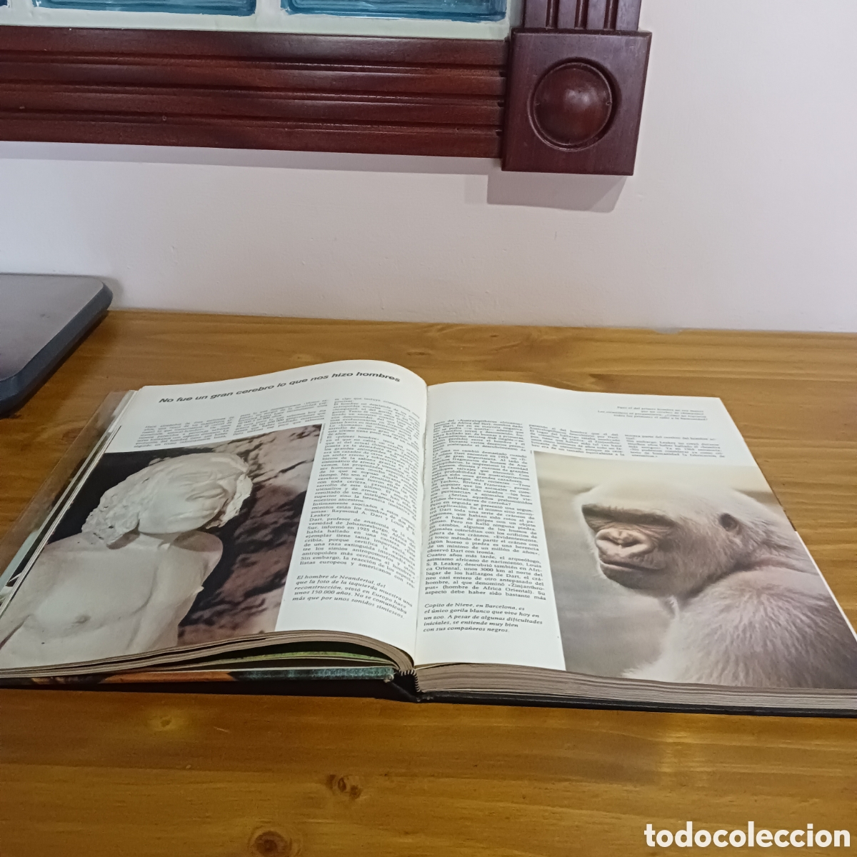 Libros de segunda mano: Etolog&iacute;a. C&iacute;rculo de lectores - Foto 4