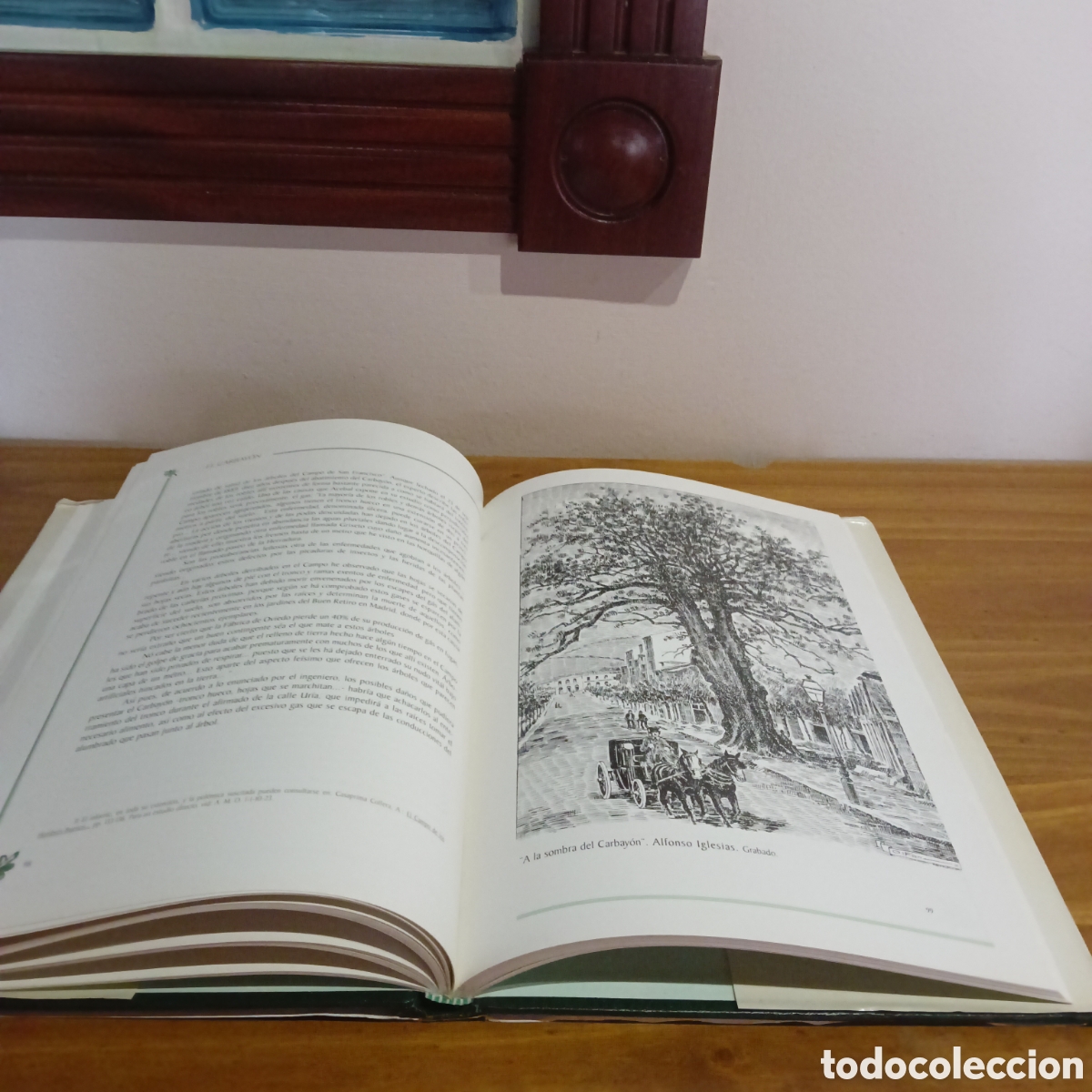 Libros de segunda mano: El carbay&oacute;n. Adolfo casaprima collera - Foto 5