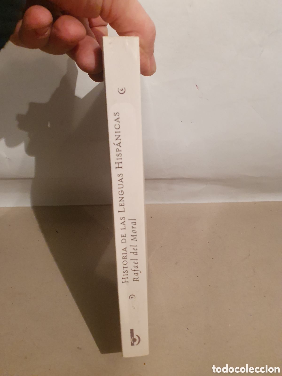 Libros de segunda mano: HISTORIA DE LAS LENGUAS HISPANICAS. RAFAEL DEL MORAL. 2009. - Foto 3