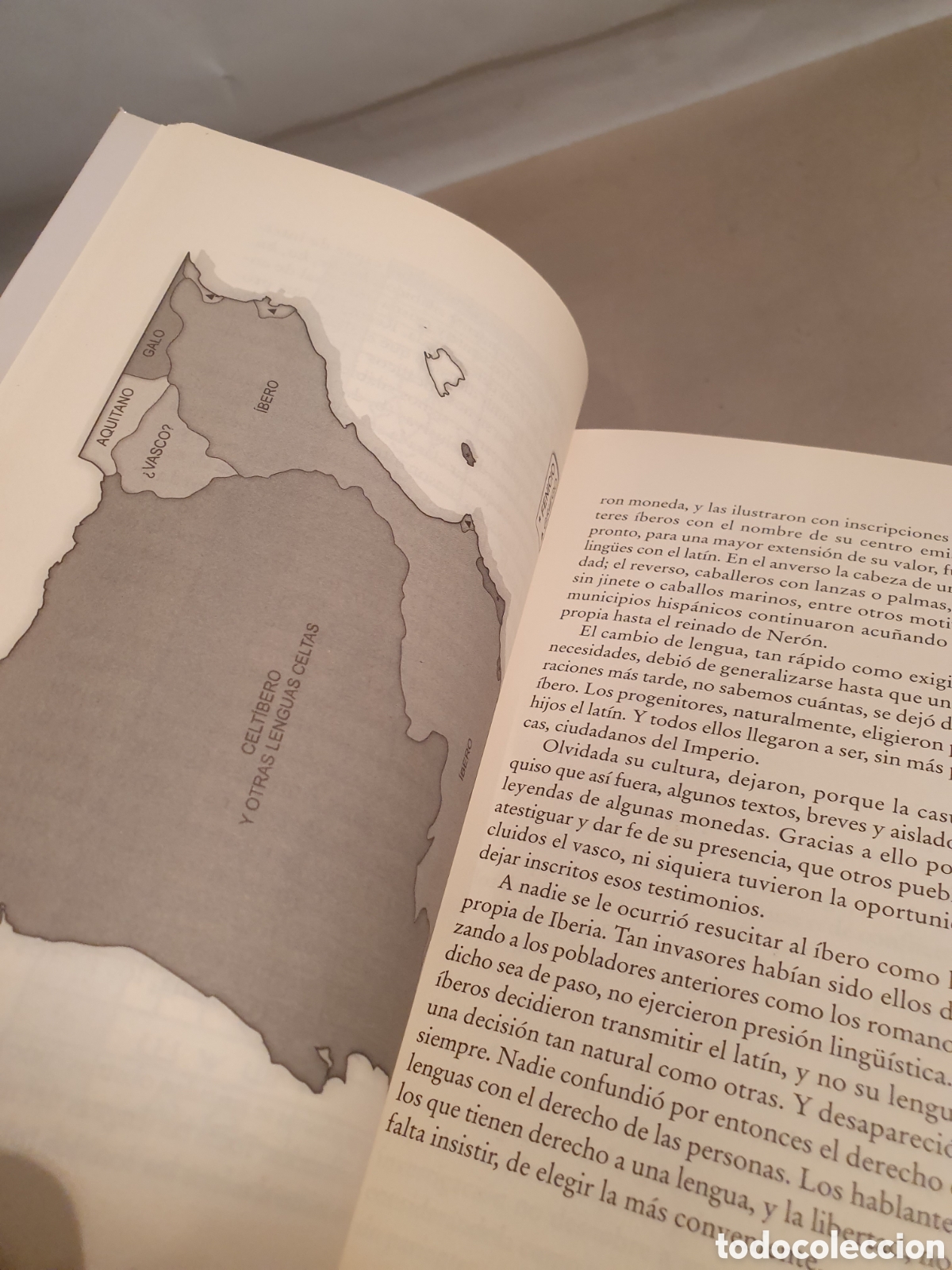 Libros de segunda mano: HISTORIA DE LAS LENGUAS HISPANICAS. RAFAEL DEL MORAL. 2009. - Foto 5