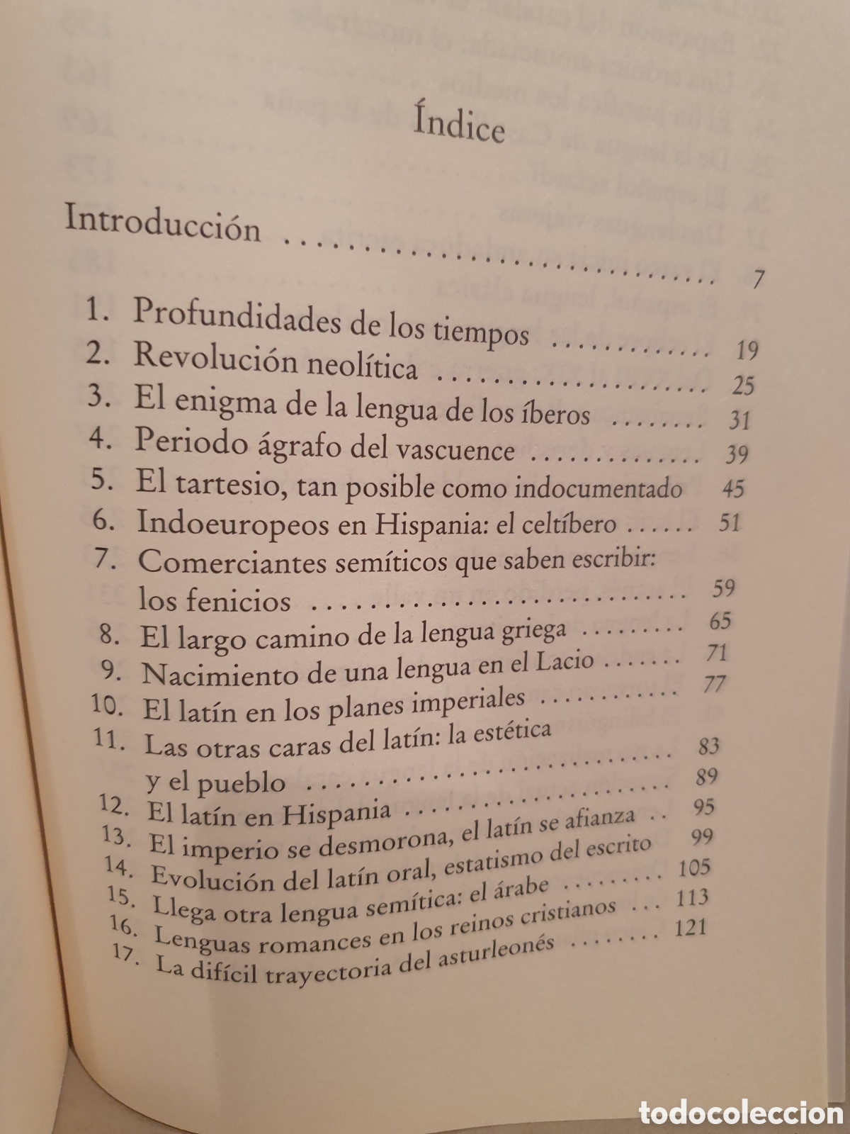 Libros de segunda mano: HISTORIA DE LAS LENGUAS HISPANICAS. RAFAEL DEL MORAL. 2009. - Foto 8