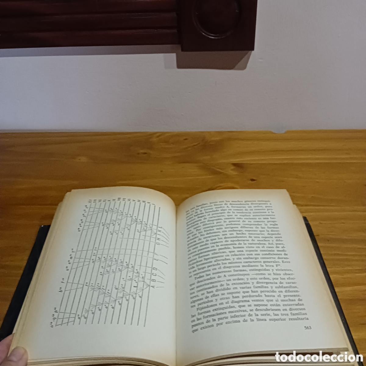 Libros de segunda mano: El origen de las especies. Charles Darwin - Foto 6