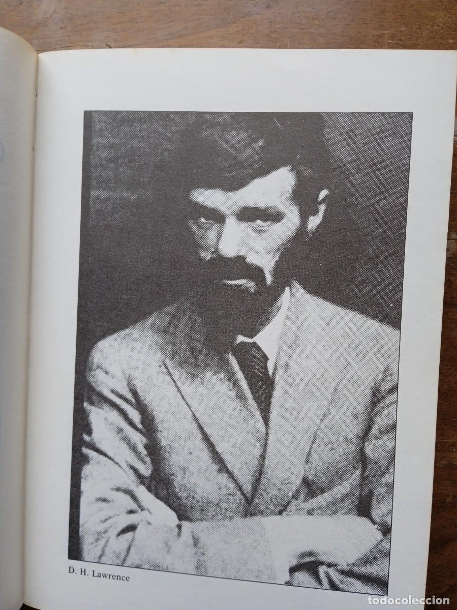 Libros de segunda mano: D.H. Lawrence, correspondencia - Foto 5