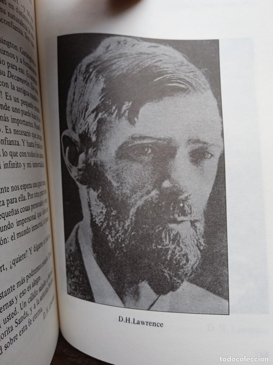 Libros de segunda mano: D.H. Lawrence, correspondencia - Foto 6