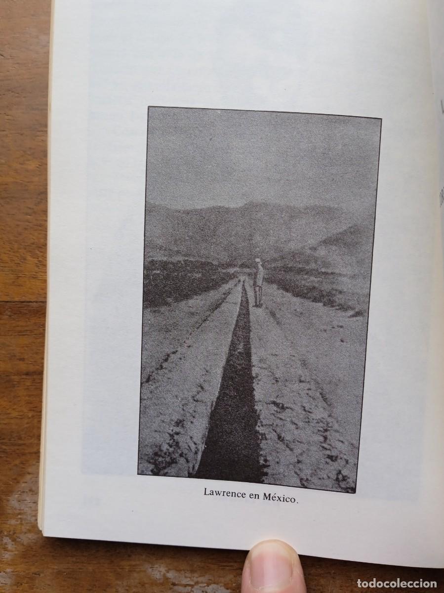 Libros de segunda mano: D.H. Lawrence, correspondencia - Foto 7