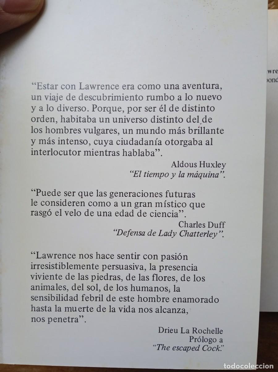 Libros de segunda mano: D.H. Lawrence, correspondencia - Foto 11