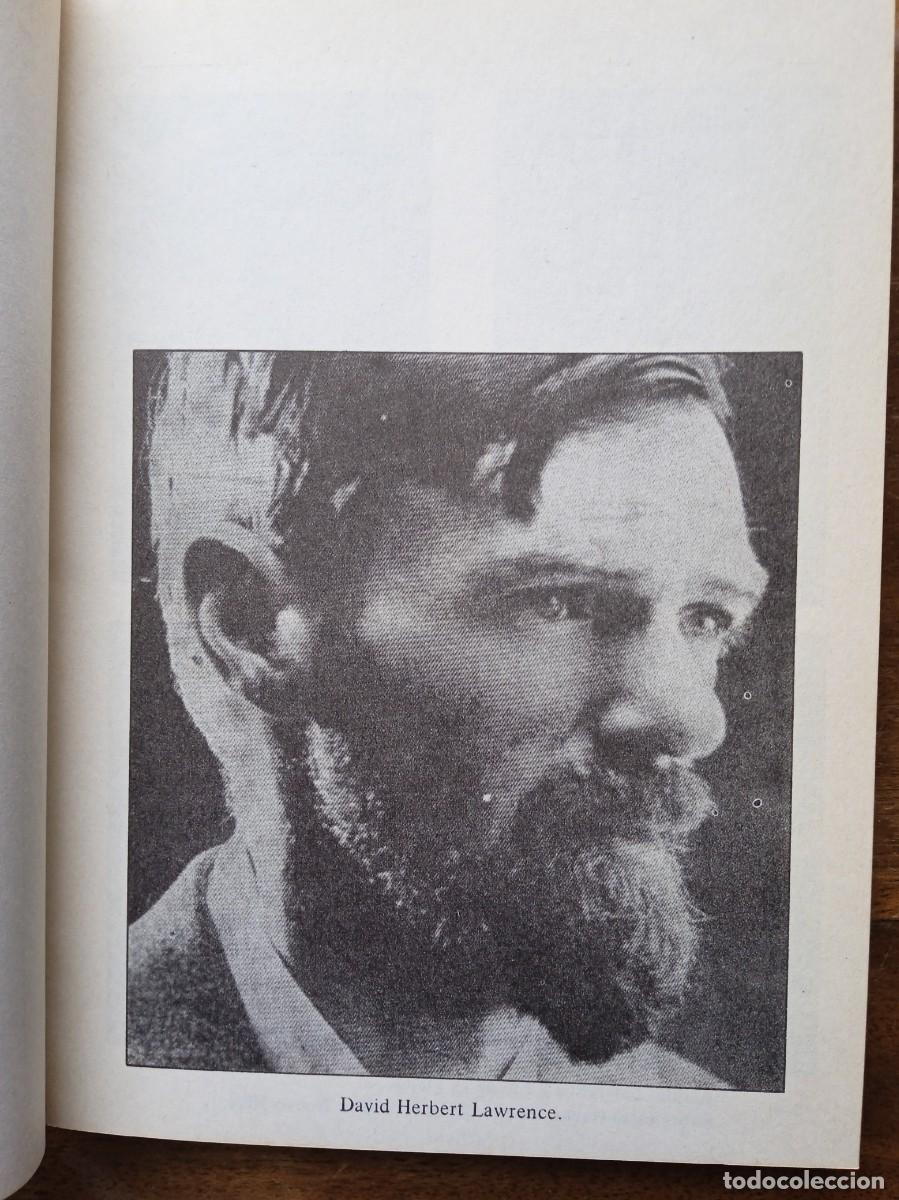Libros de segunda mano: D.H. Lawrence, correspondencia - Foto 13