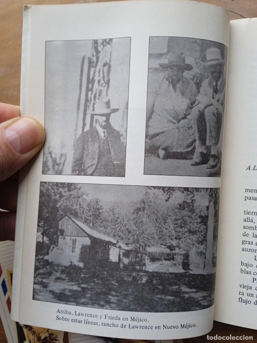 Libros de segunda mano: D.H. Lawrence, correspondencia - Foto 14