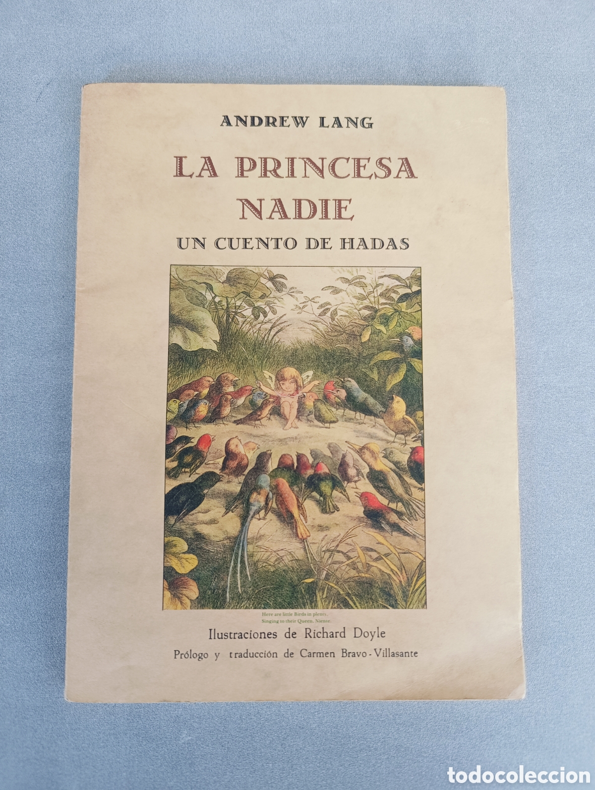 Libros de segunda mano: LA PRINCESA NADIE. UN CUENTO DE HADAS. ANDREW LANG. - Foto 1