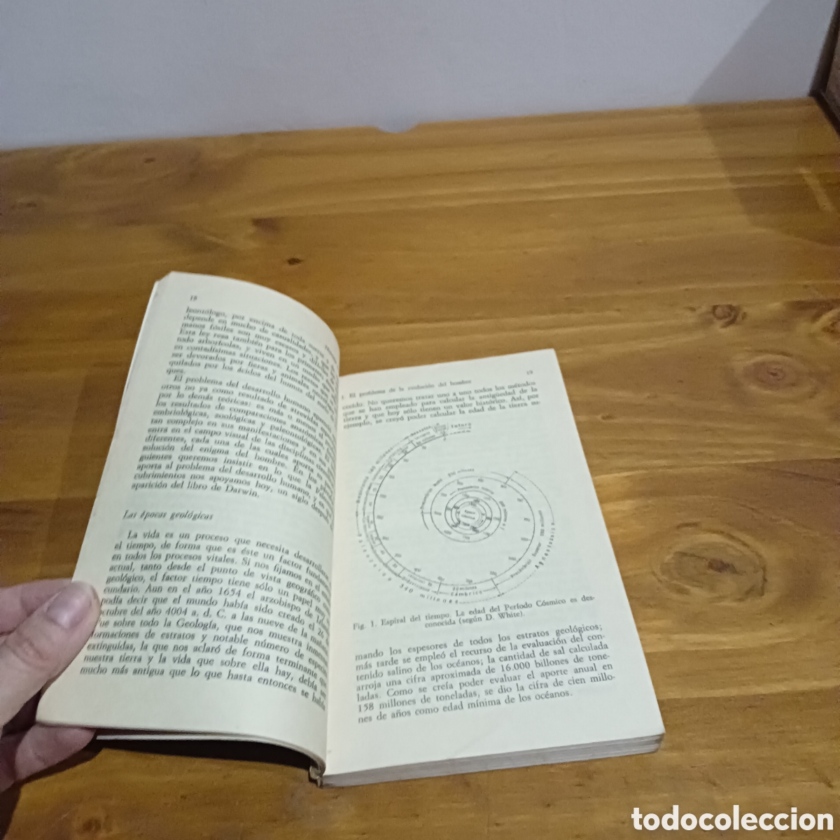 Libros de segunda mano: Historia del hombre. Alianza editorial - Foto 3