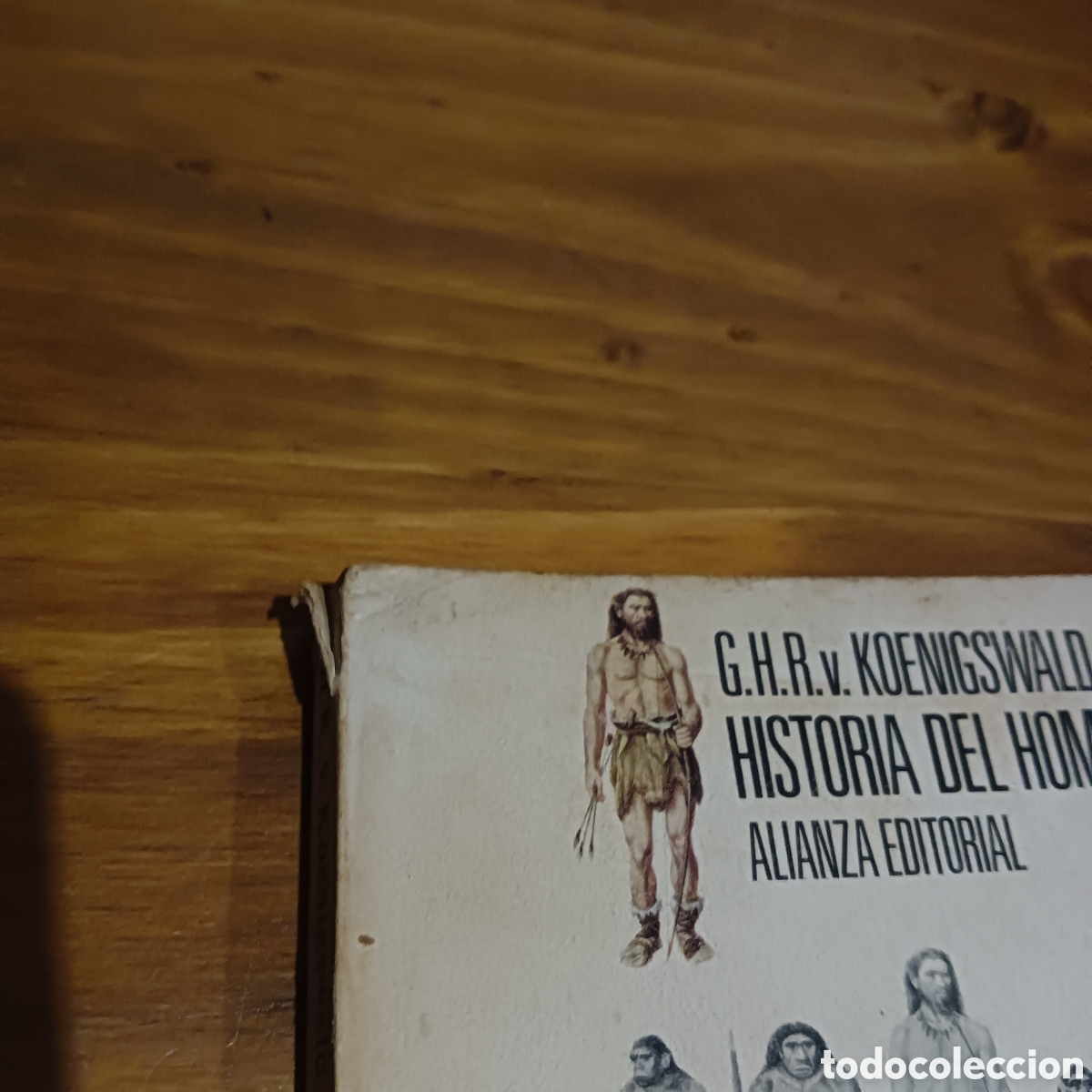 Libros de segunda mano: Historia del hombre. Alianza editorial - Foto 7