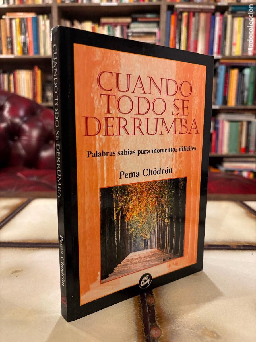 Libros de segunda mano: Cuando todo se derrumba. Pema Ch&ouml;dr&ouml;n. - Foto 1