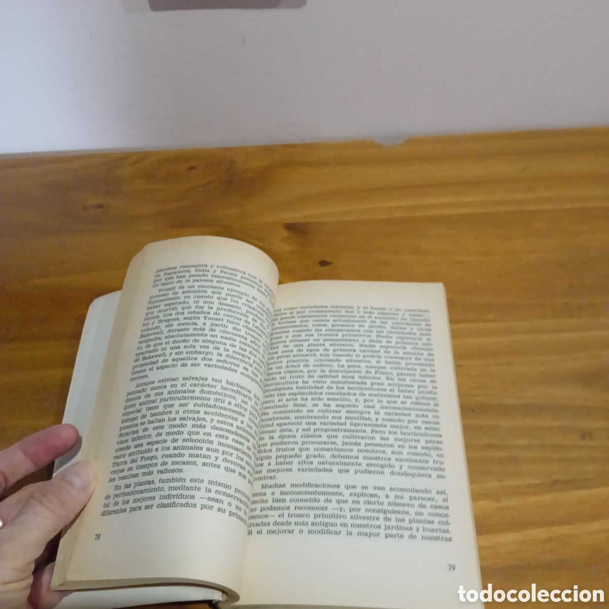 Libros de segunda mano: El origen de las Especies. Charles Darwin. - Foto 4