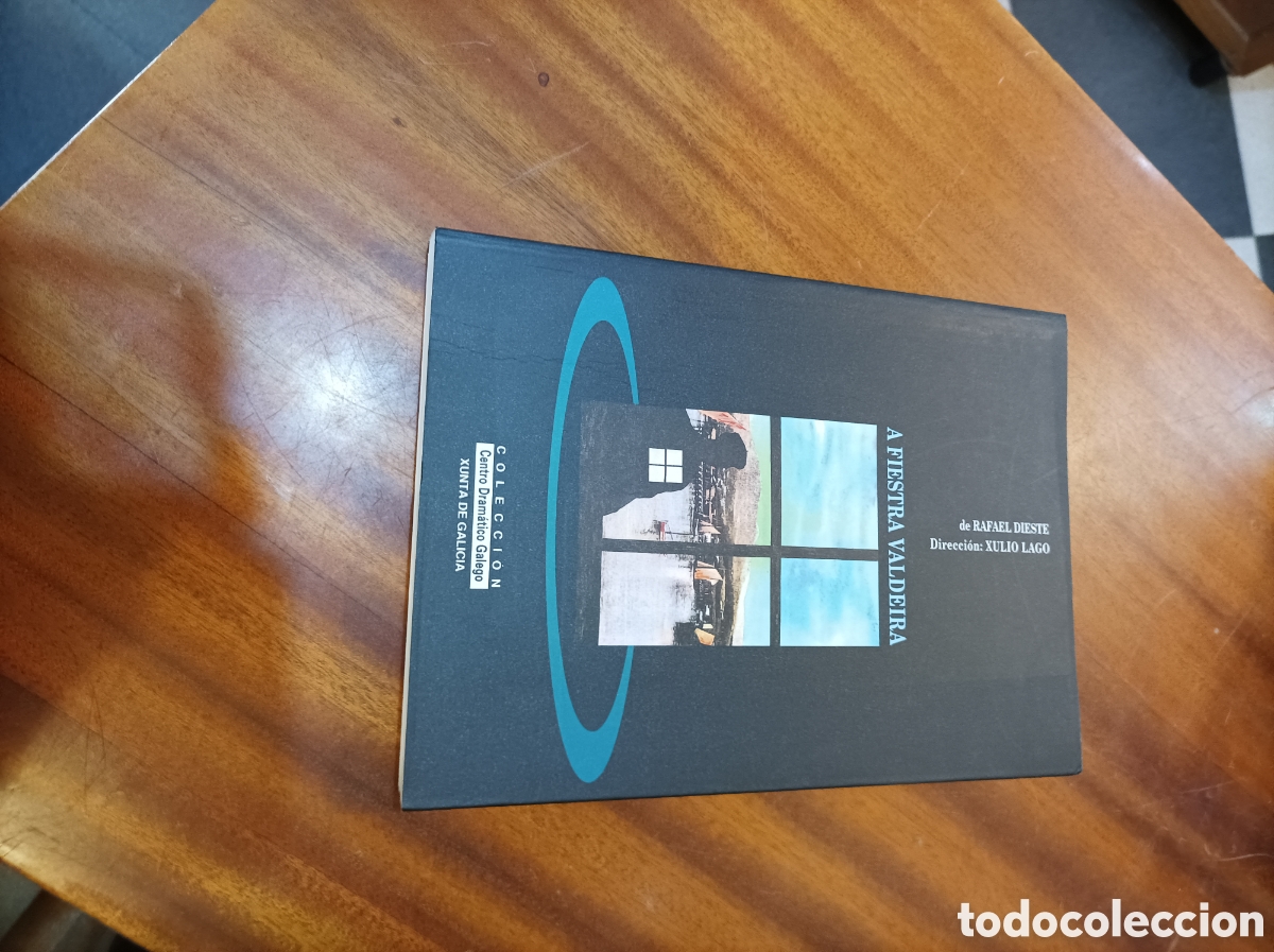 Libri di seconda mano: A FIESTRA VALDEIRA RAFAEL DIESTE EDICI&Oacute;N 1994