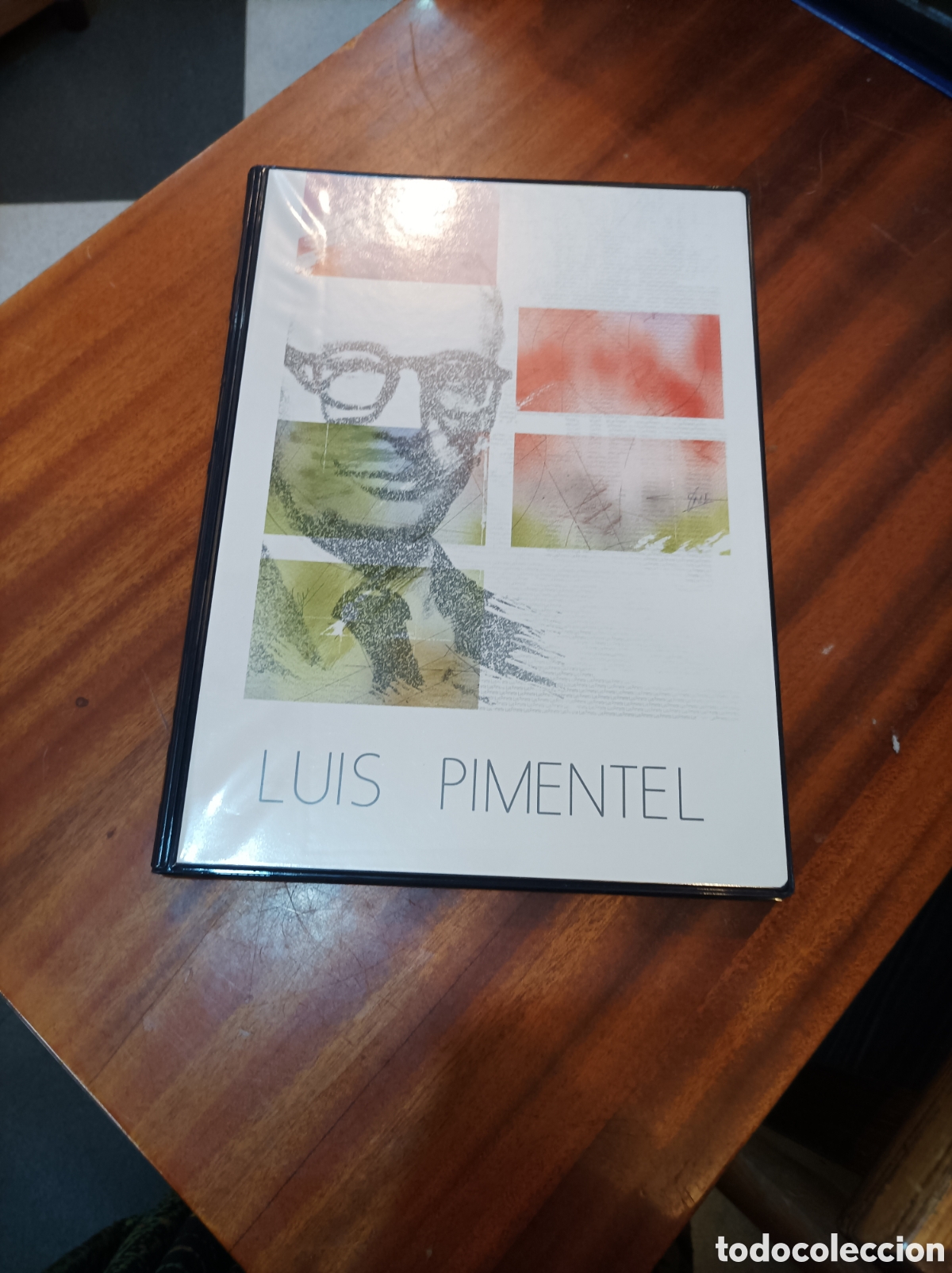 Libri di seconda mano: LUIS PIMENTEL.CATALOGO EXPOSICI&Oacute;N.1990