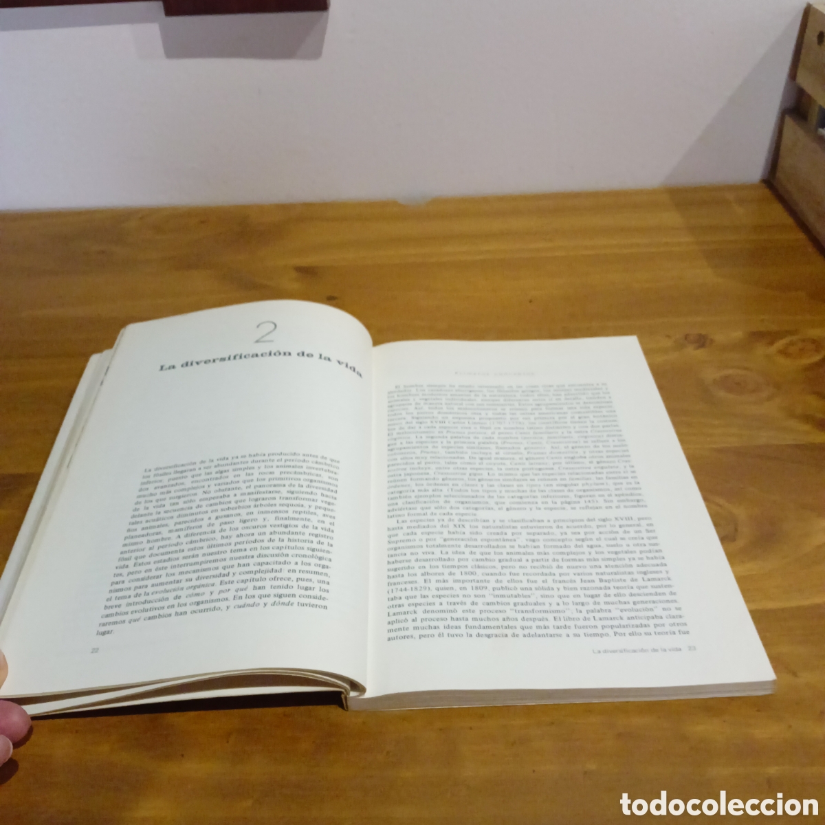 Libros de segunda mano: La historia de la vida A. Lee Mcalester - Foto 3