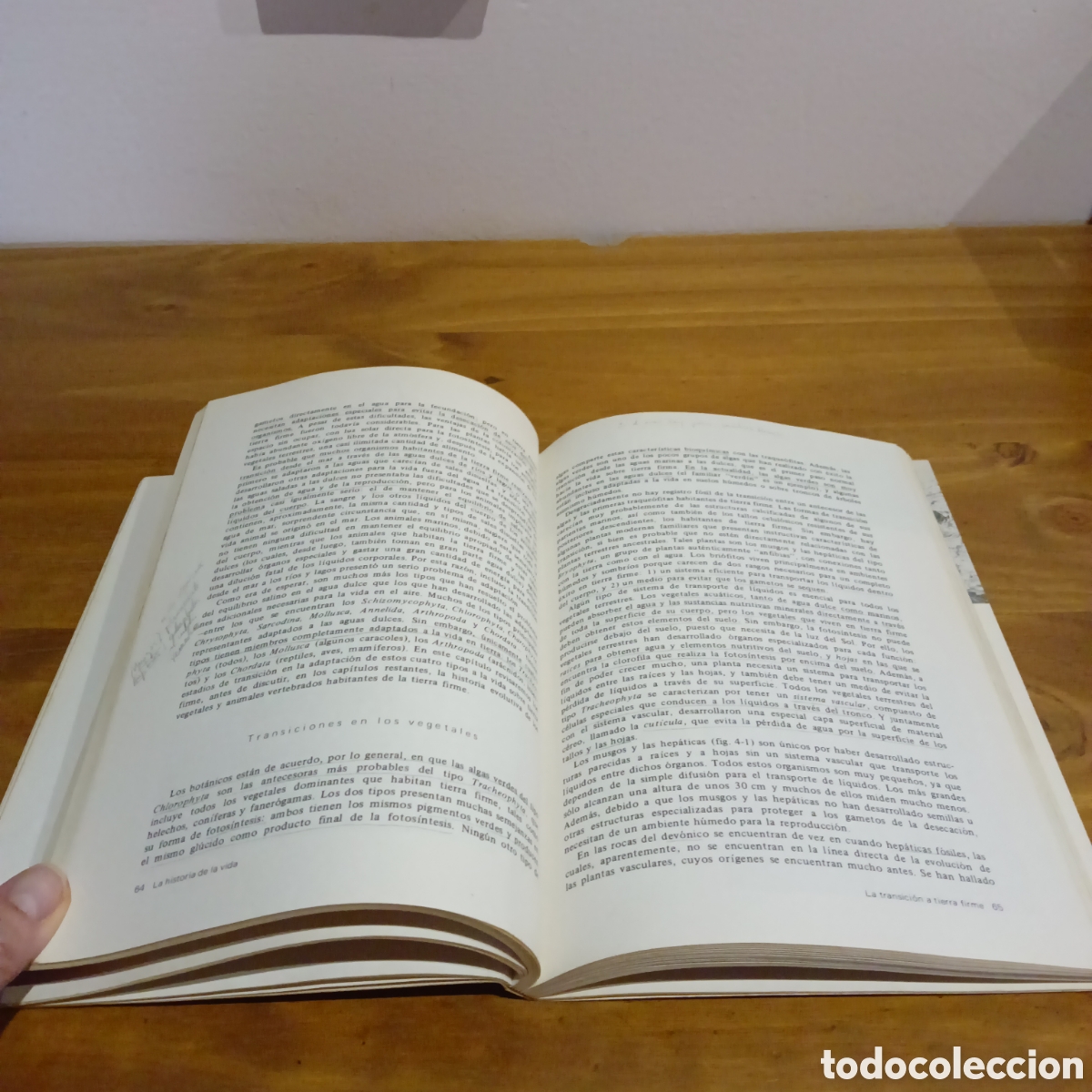 Libros de segunda mano: La historia de la vida A. Lee Mcalester - Foto 4