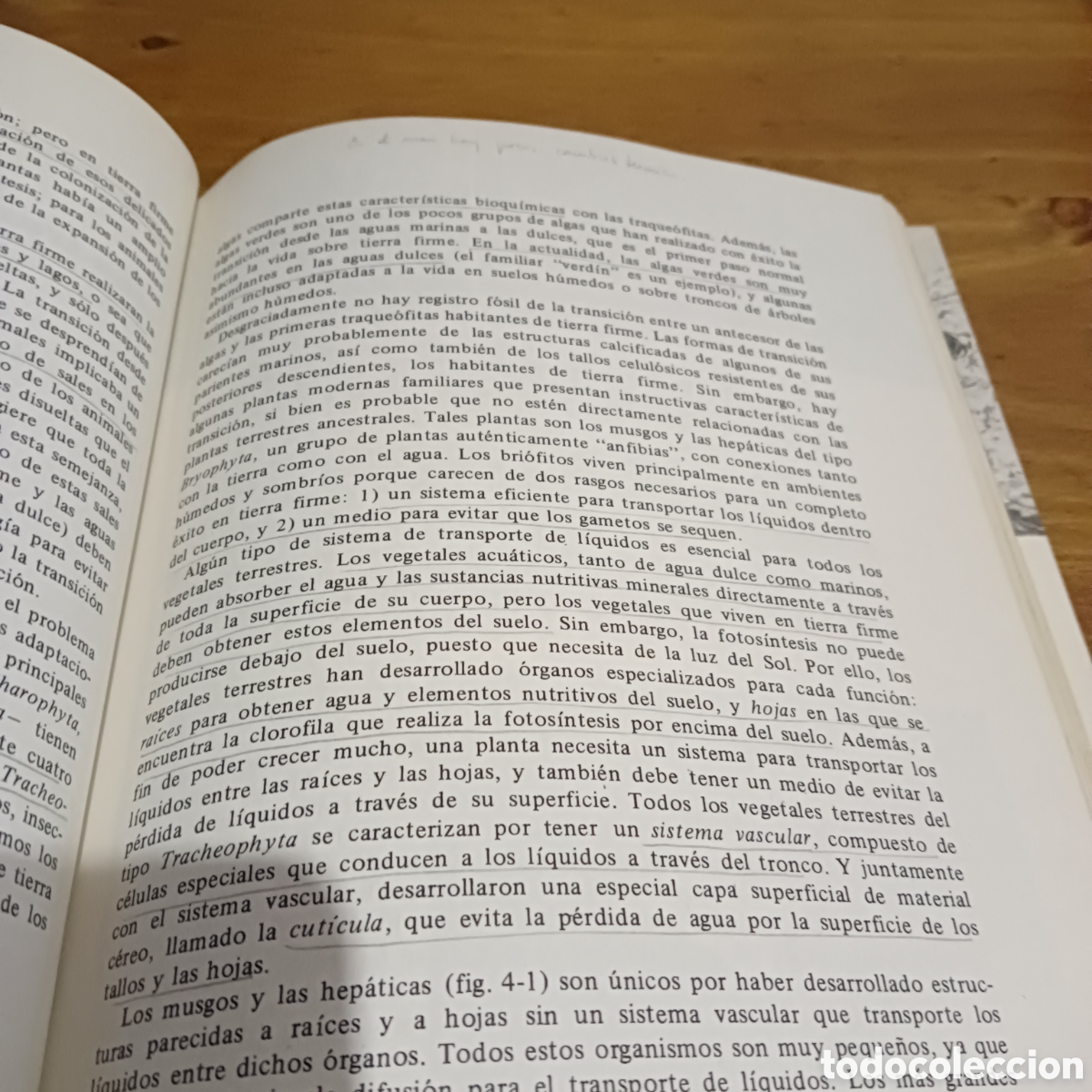 Libros de segunda mano: La historia de la vida A. Lee Mcalester - Foto 5