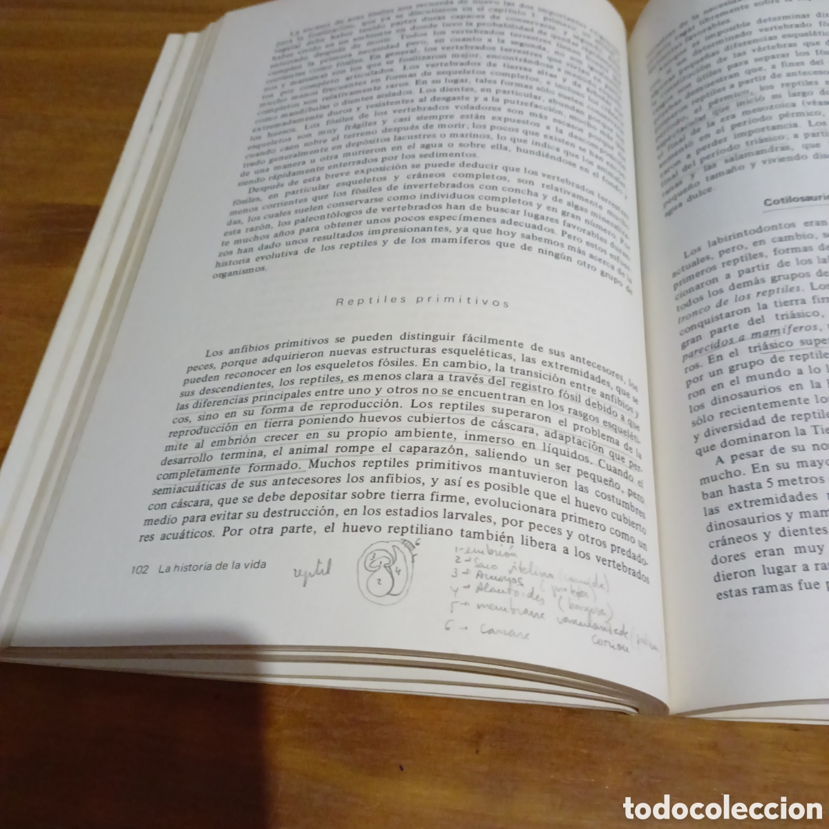 Libros de segunda mano: La historia de la vida A. Lee Mcalester - Foto 6