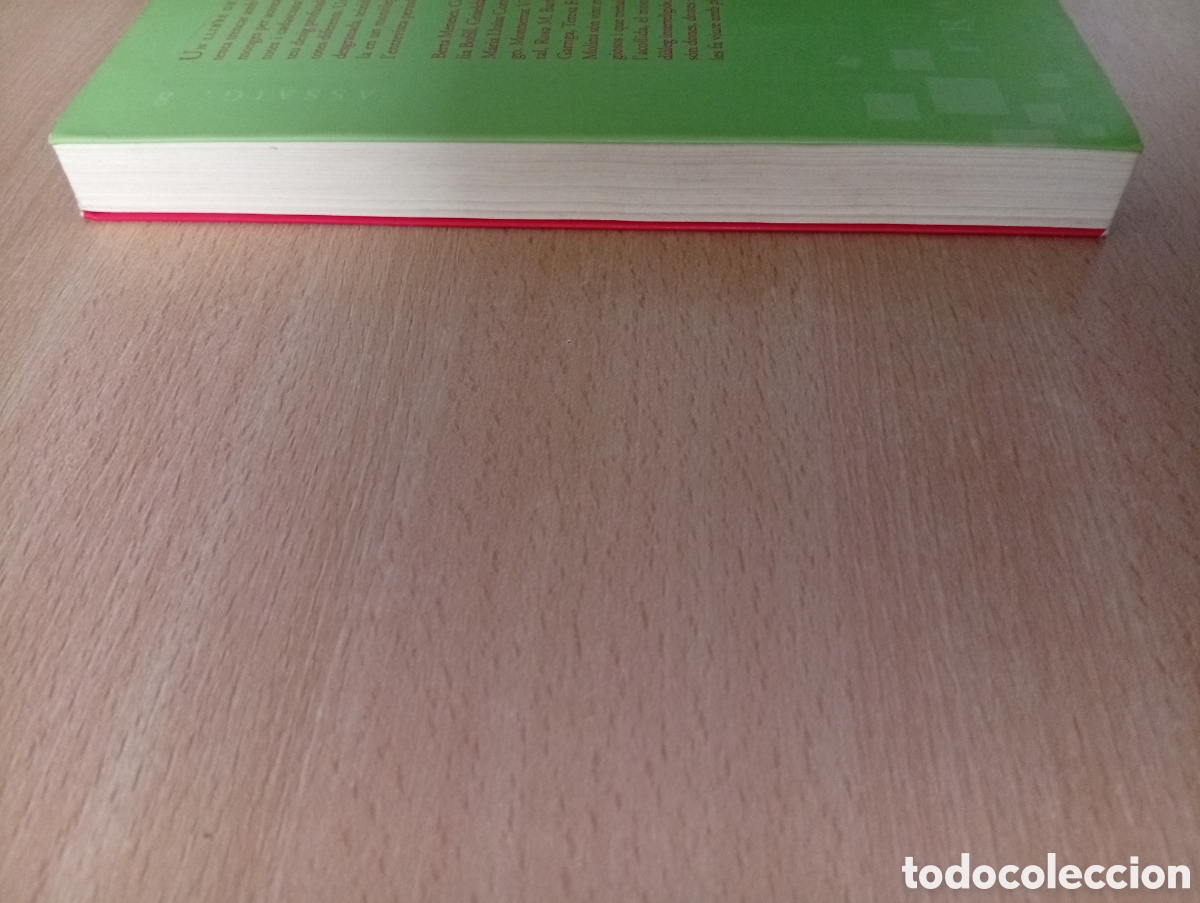 Libros de segunda mano: MONGES. Laia de Ahumada - Foto 6