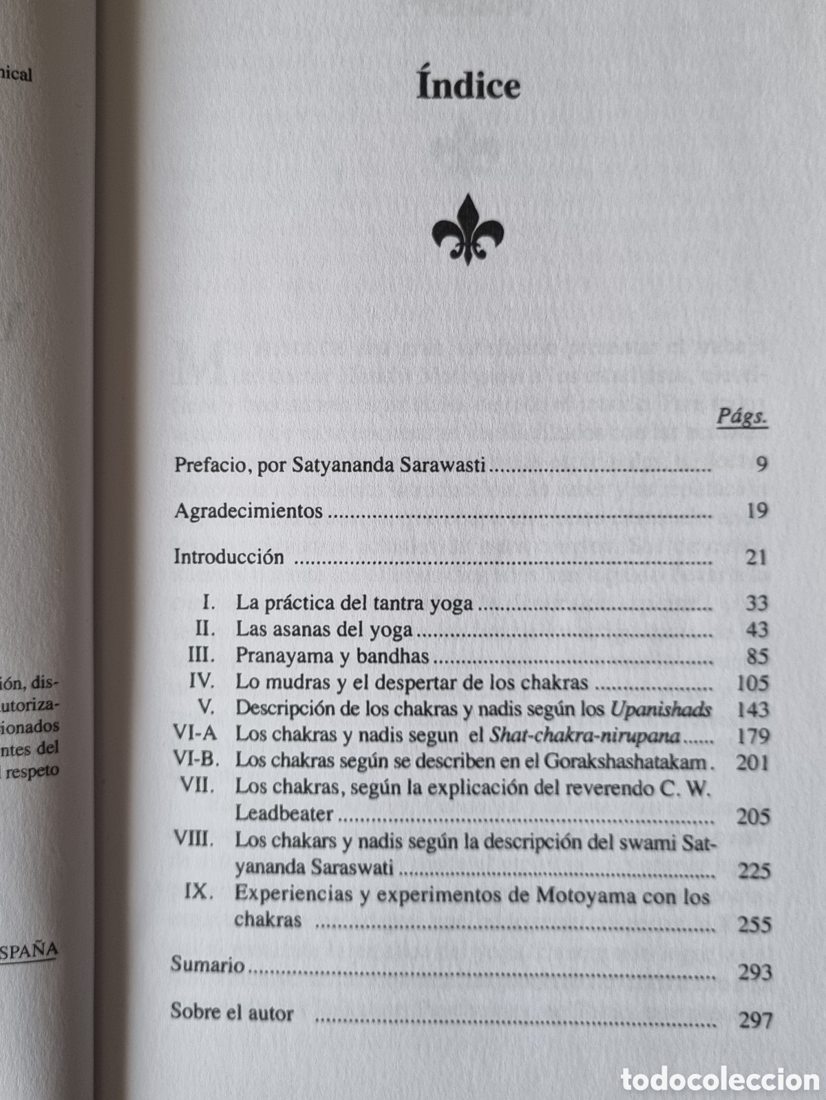Libros de segunda mano: Chakras Kundalini. Hiroshi Motoyama. Ed. EDAF. 2002 - Foto 5