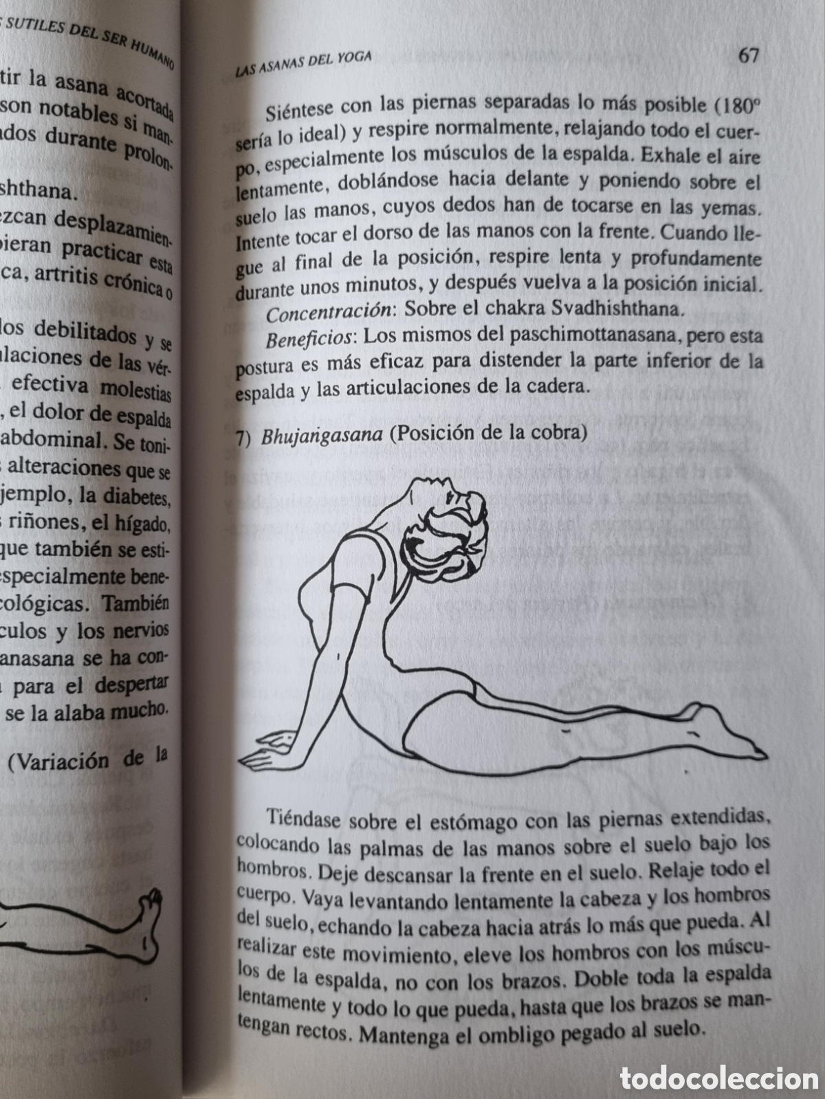 Libros de segunda mano: Chakras Kundalini. Hiroshi Motoyama. Ed. EDAF. 2002 - Foto 6
