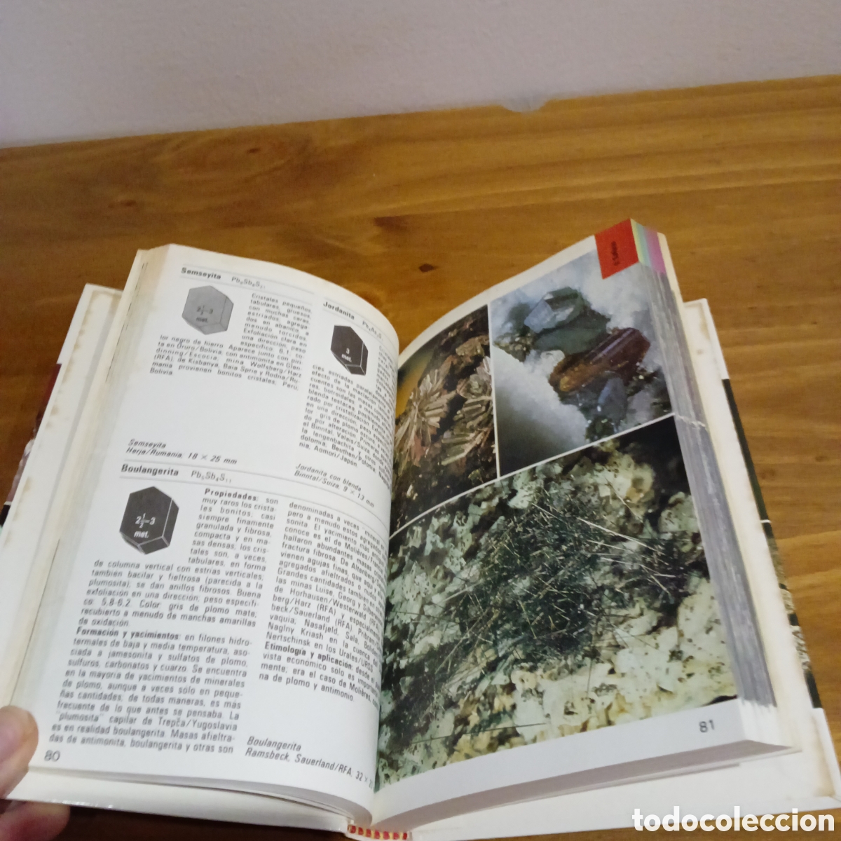 Libros de segunda mano: Minerales. Editorial blume - Foto 4