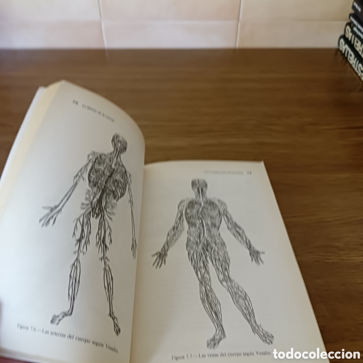 Libros de segunda mano: La f&aacute;brica de la mente. Richard Bergland - Foto 6