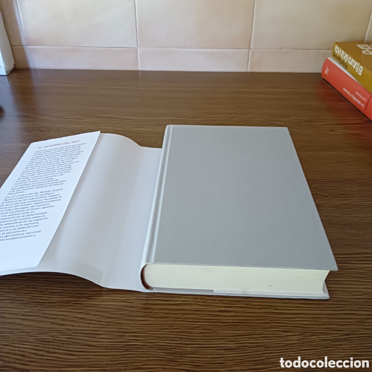 Libros de segunda mano: El cerebro del Rey. Nolasc Acarin Tusell. - Foto 2