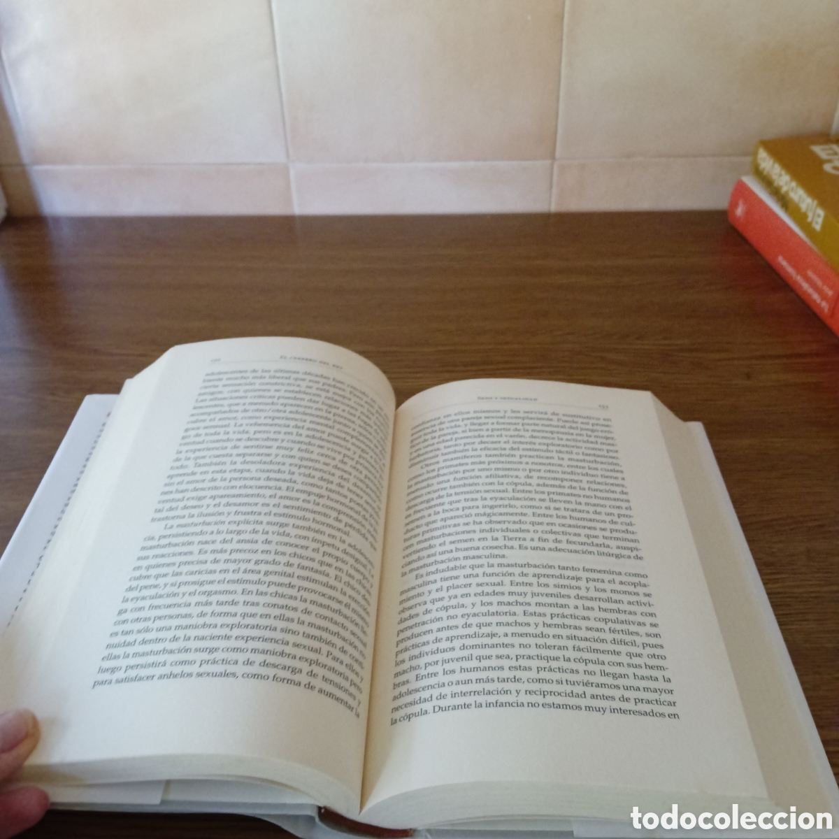 Libros de segunda mano: El cerebro del Rey. Nolasc Acarin Tusell. - Foto 3