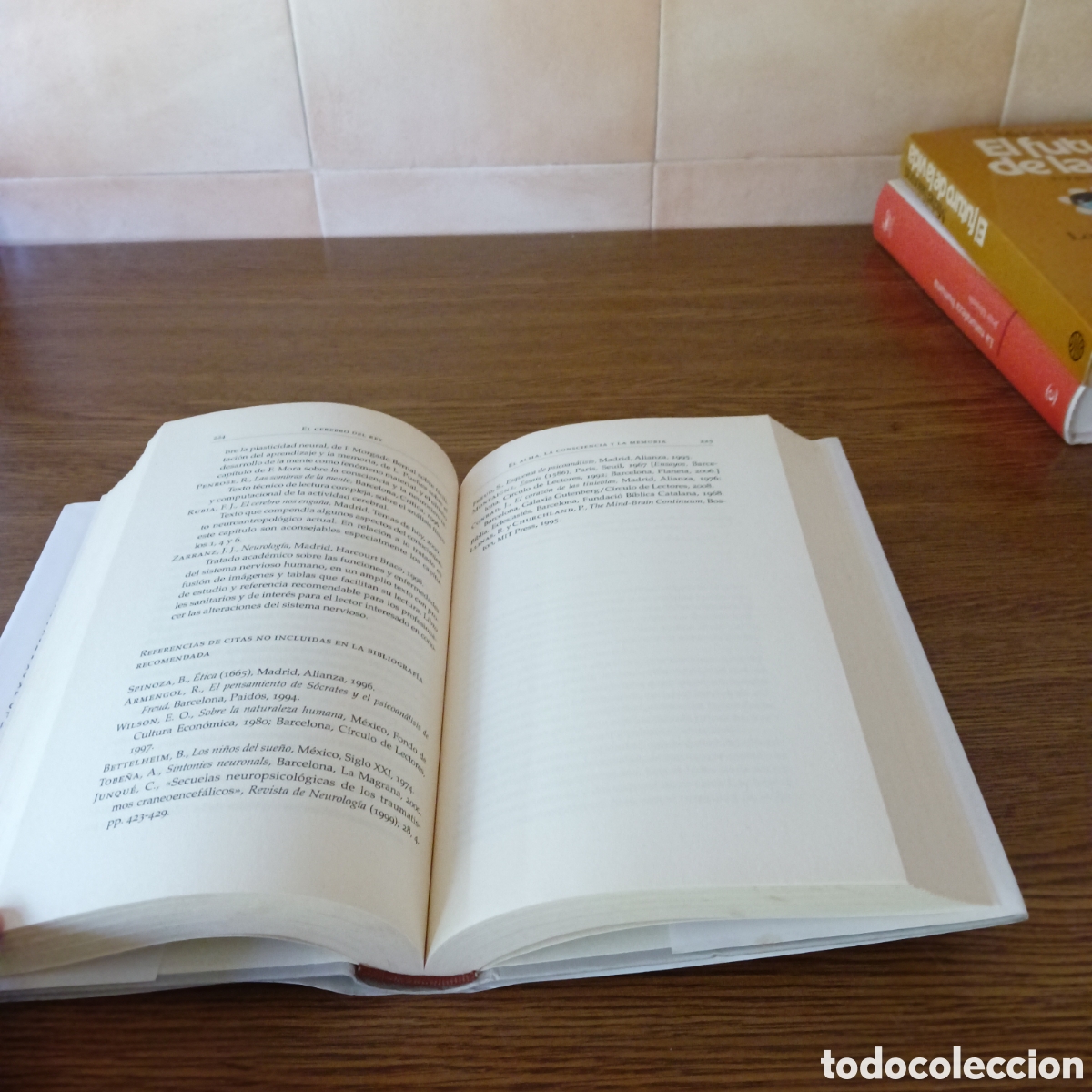 Libros de segunda mano: El cerebro del Rey. Nolasc Acarin Tusell. - Foto 4