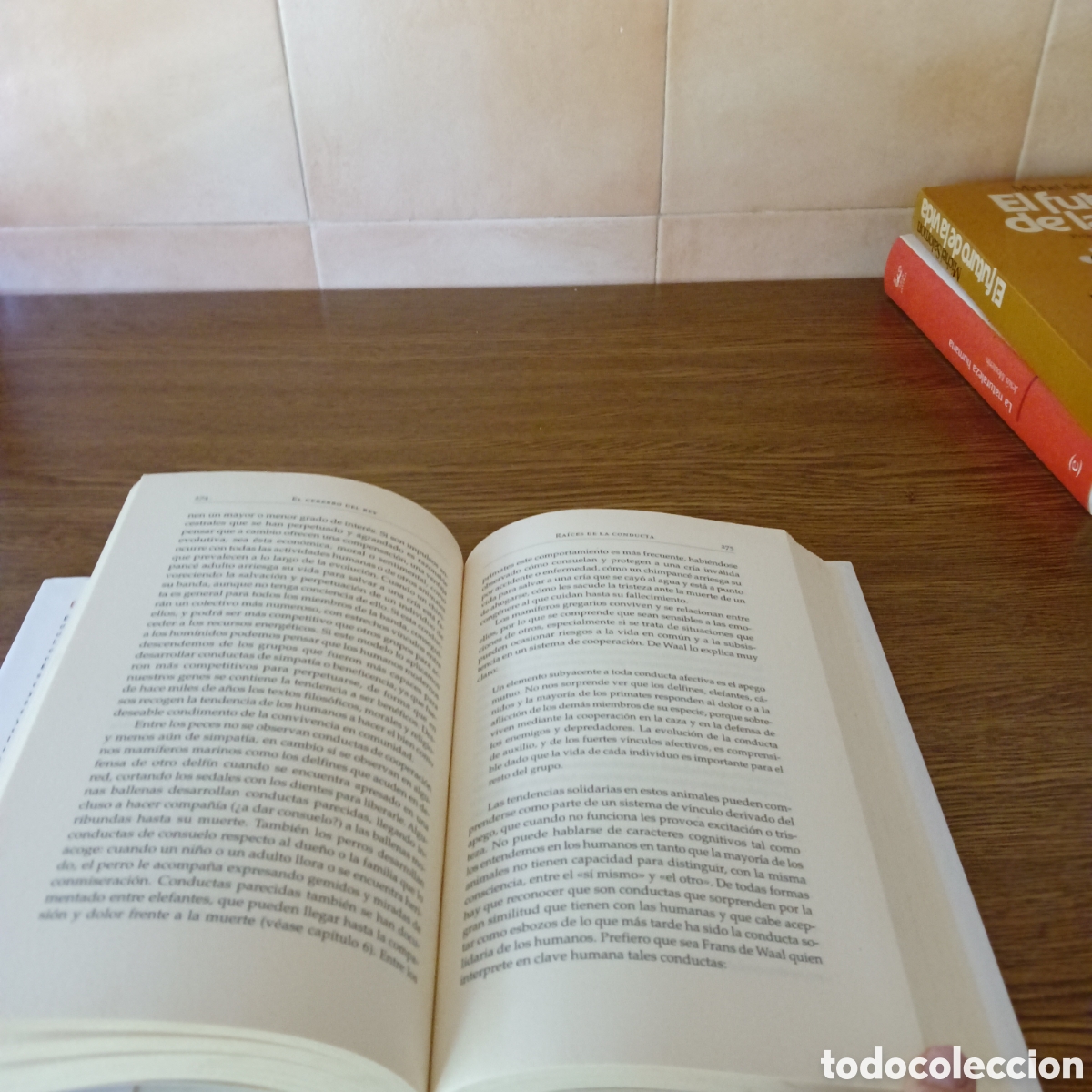 Libros de segunda mano: El cerebro del Rey. Nolasc Acarin Tusell. - Foto 5