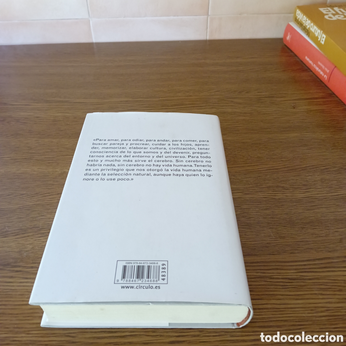 Libros de segunda mano: El cerebro del Rey. Nolasc Acarin Tusell. - Foto 6