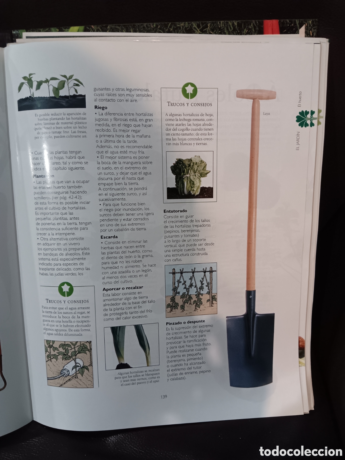 Libros de segunda mano: Manual pr&aacute;ctico de la jardiner&iacute;a. - Foto 3