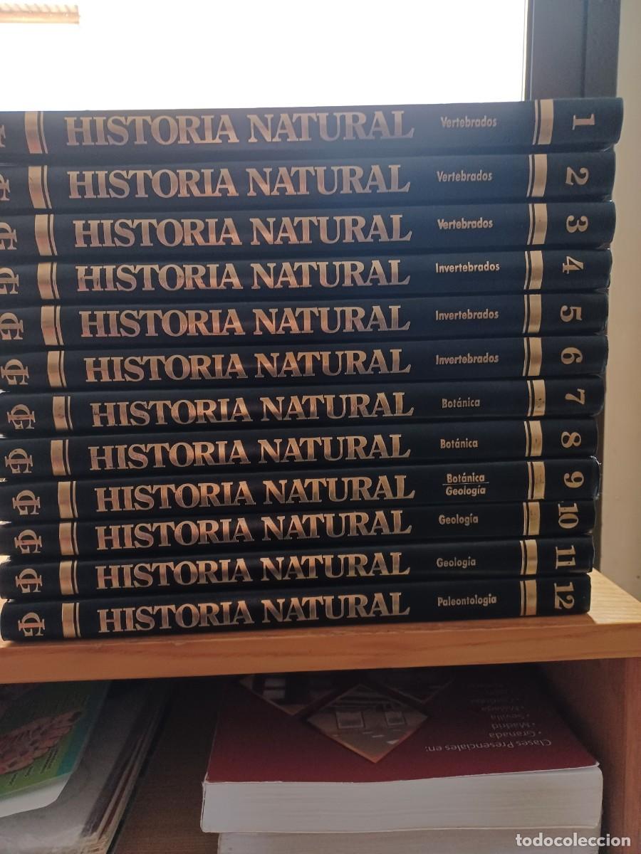 Libros de segunda mano: HISTORIA NATURAL - 12 TOMOS - INSTITUTO GALLACH - Foto 1