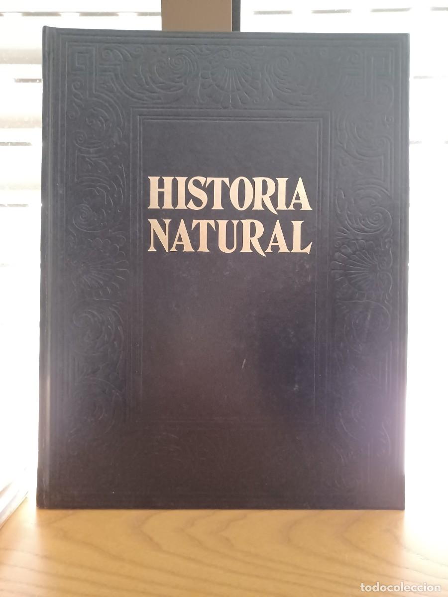 Libros de segunda mano: HISTORIA NATURAL - 12 TOMOS - INSTITUTO GALLACH - Foto 2