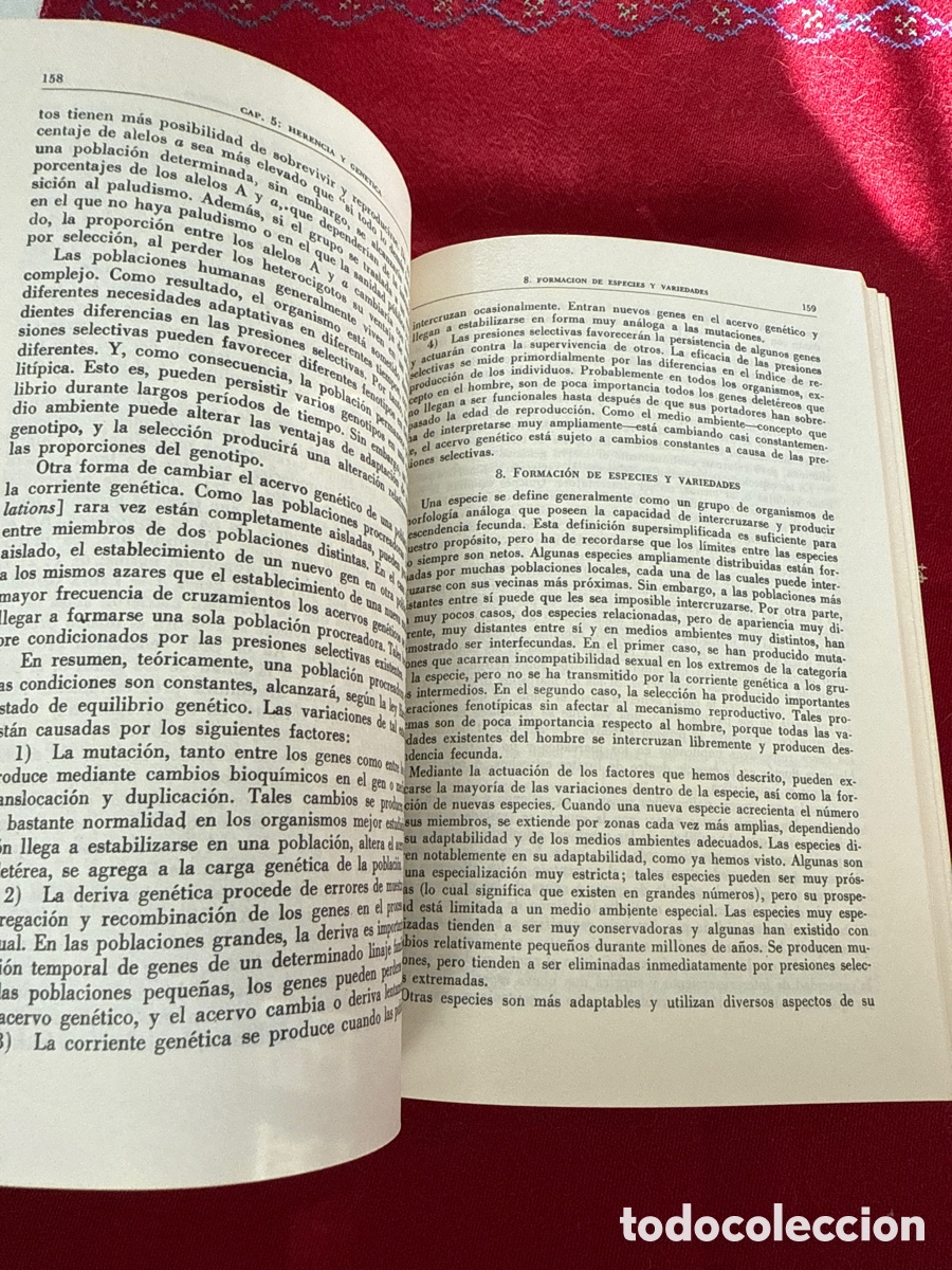 Libros de segunda mano: Introducci&oacute;n a la Antropolog&iacute;a. Ralph L. Beals y Harry Hoijer. - Foto 14