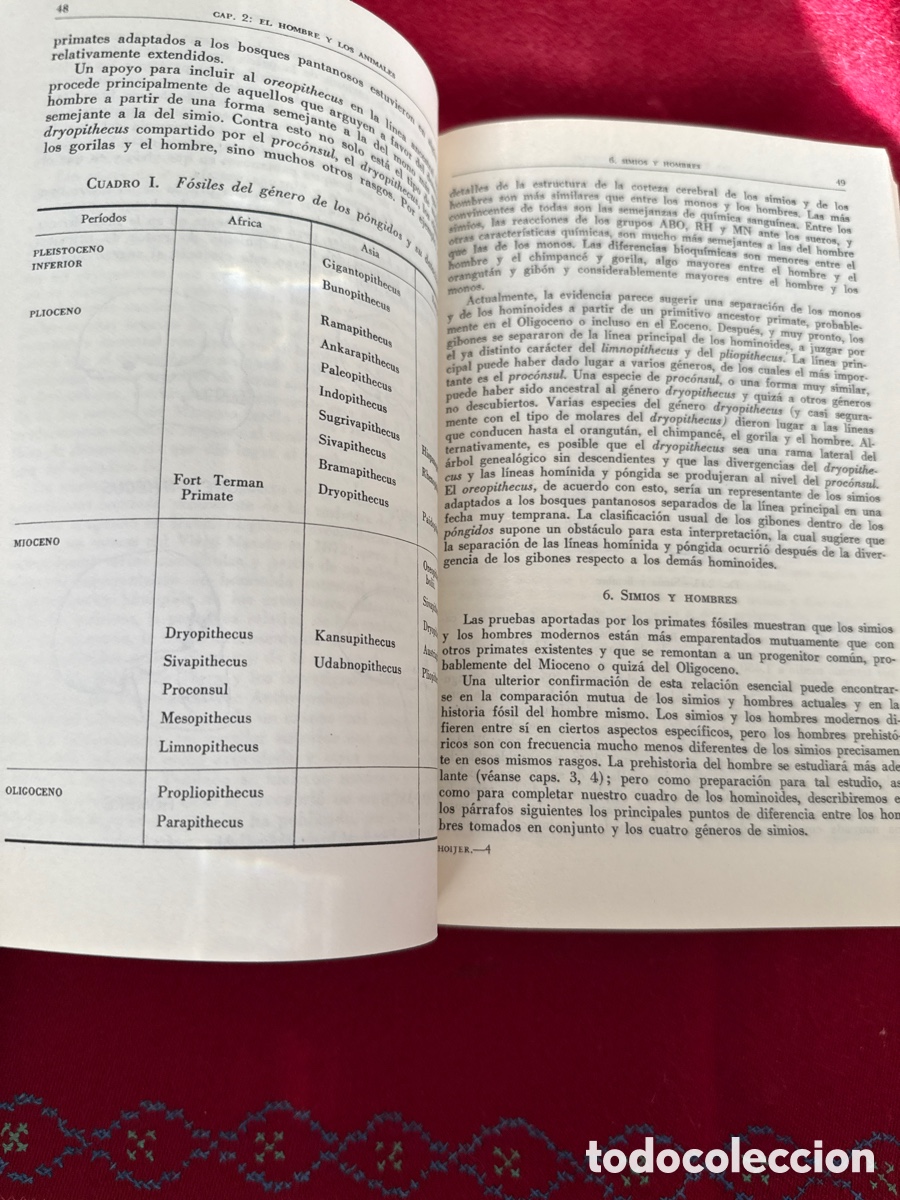 Libros de segunda mano: Introducci&oacute;n a la Antropolog&iacute;a. Ralph L. Beals y Harry Hoijer. - Foto 16