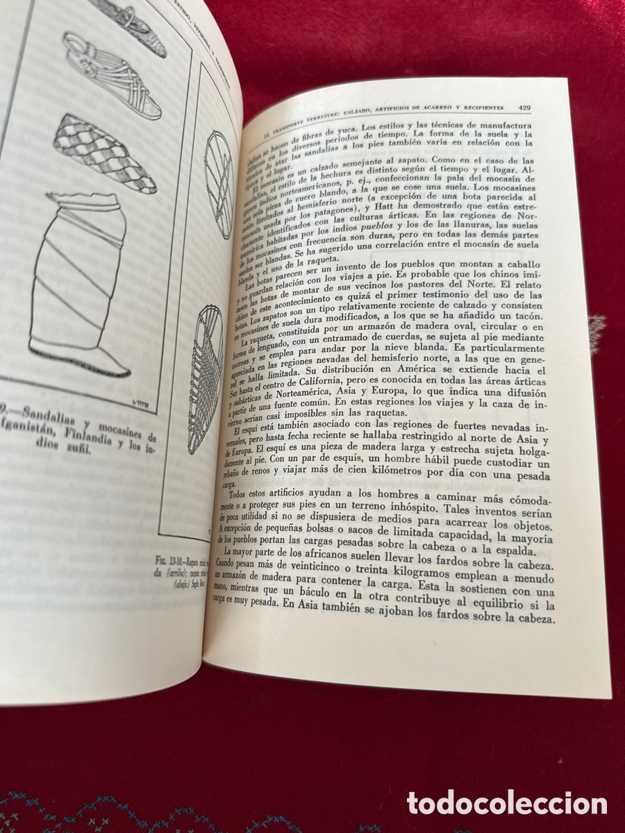 Libros de segunda mano: Introducci&oacute;n a la Antropolog&iacute;a. Ralph L. Beals y Harry Hoijer. - Foto 17