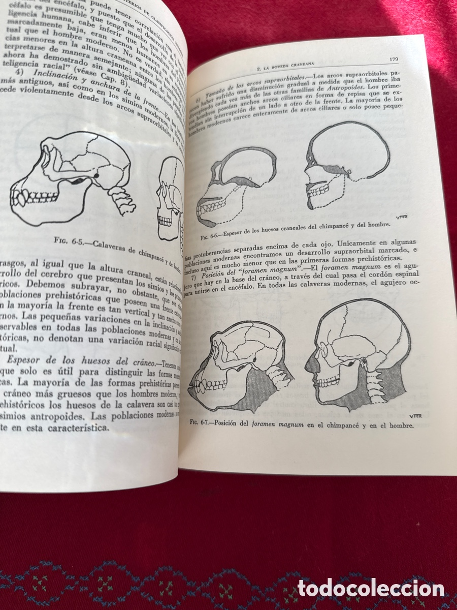 Libros de segunda mano: Introducci&oacute;n a la Antropolog&iacute;a. Ralph L. Beals y Harry Hoijer. - Foto 19