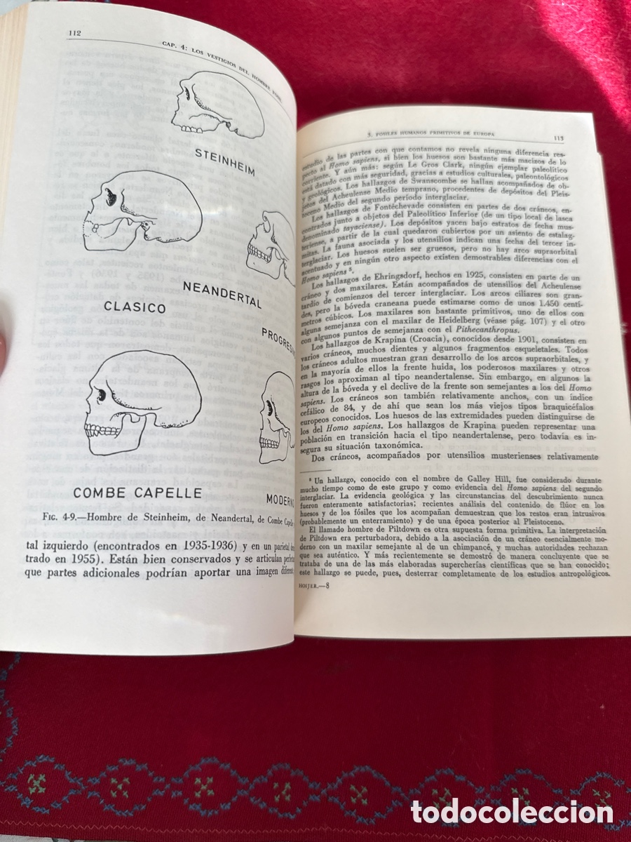 Libros de segunda mano: Introducci&oacute;n a la Antropolog&iacute;a. Ralph L. Beals y Harry Hoijer. - Foto 20