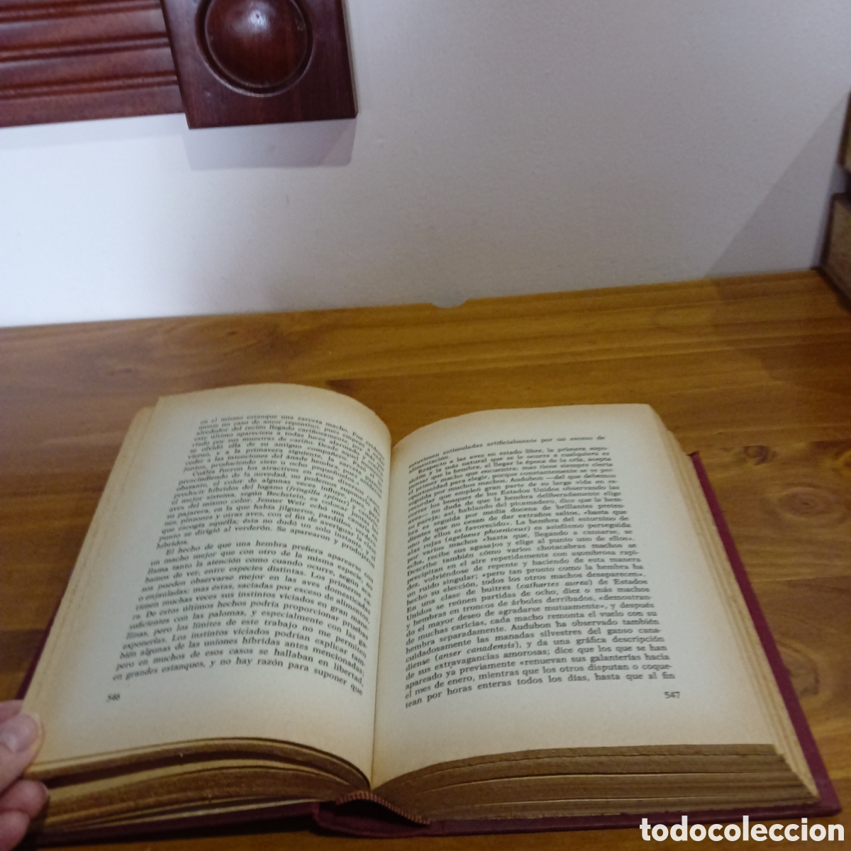 Libros de segunda mano: El origen del hombre tomo II. - Foto 6