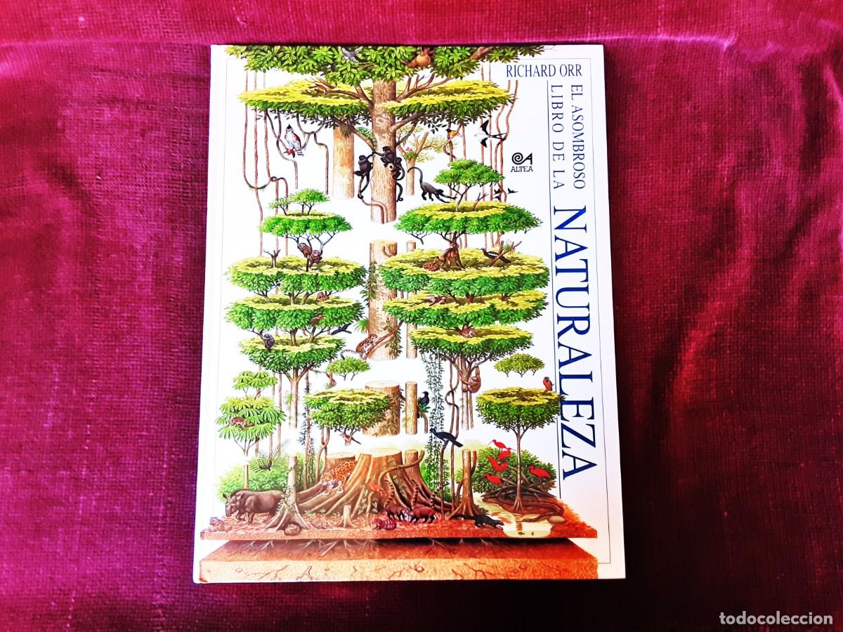 Libros de segunda mano: EL ASOMBROSO LIBRO DE LA NATURALEZA ALTEA - Foto 1