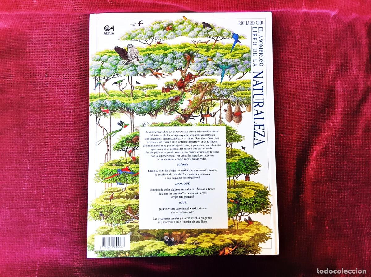 Libros de segunda mano: EL ASOMBROSO LIBRO DE LA NATURALEZA ALTEA - Foto 2